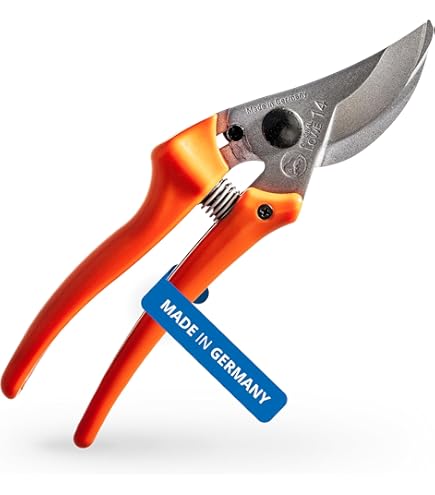 Points Gutta Percha AZDENT F1/F2/F3 – 60 Pièces, Pour Obturation Dentaire Endodontique