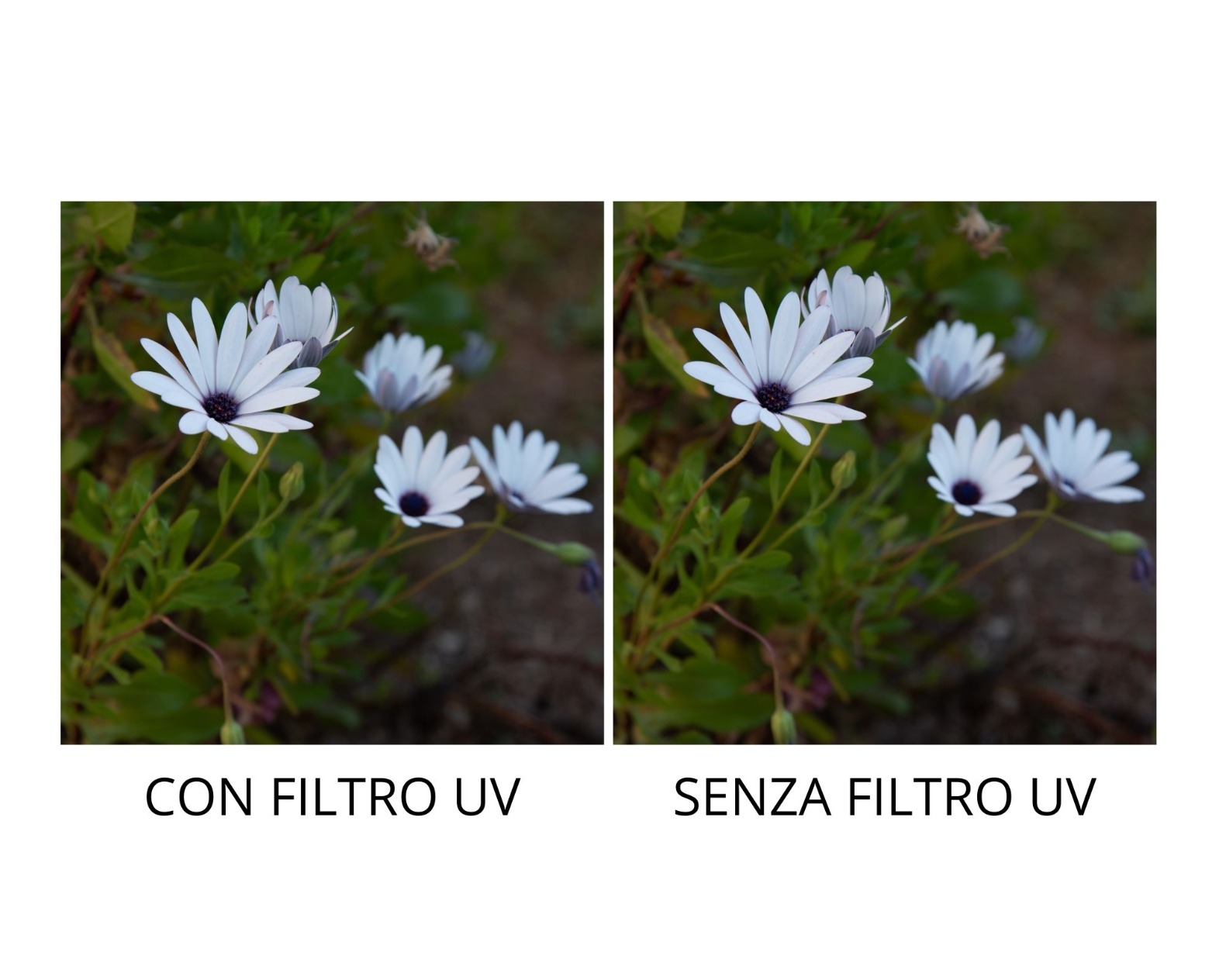 Great filters, practical and lightweight