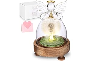 HUIFOO Ewige Pusteblume Geschenke, Ewige Pusteblume in Engel Glaskuppel, Wunscherfüller mit LED Licht,Ewig Geburtstagsgeschenk,für Frauen Freundin Mutter zu Valentinstag Weihnachten Geburtstag