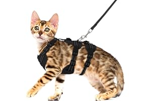 Pawfun Fully Escape Proof Cat Harness and Leash Set for Walking, Adjustable Soft Kitten Vest with Reflective Strip for Small Medium Large Adult Cats, Breathable Kitty Harness,Black M