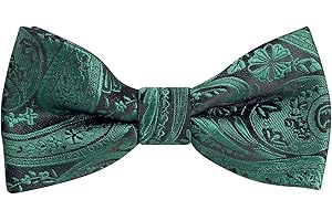 Alizeal Boys Paisley Jacquard Banded Adjustable Length Pre-tied Bow Tie