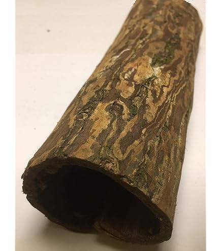Corteccia Di Mandorlo Marino Catappa Bark (10 Pezzi, Circa 2x15 Cm) - Per Acquari, Effetto Naturale E Benefico