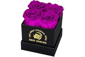 MestectPET Rose Box with 4 Infinity Roses, Purple Eternal Rose Preserved Flowers Gift Box, Valentine's Day, Mother's Day, Birthday, Wedding Anniversary Gifts for Mother, Girlfriend, Wife, Grandma,