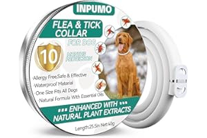 INPUMO Collare Antiparassitario Regolabile per Cane 10 Mesi Di Impermeabilità Naturale, Antipulci e Zecche Per Cani Piccoli, Medi e Grandi (1 Pack)