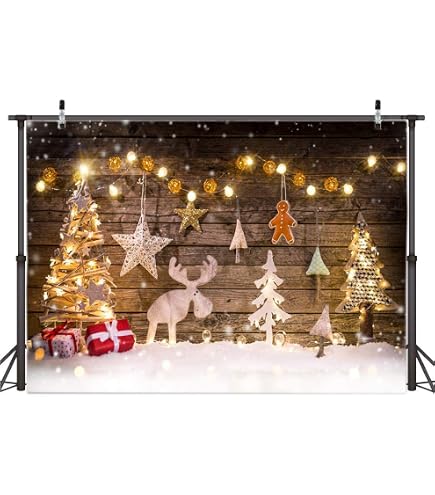 Fotohintergrund Mit Weihnachtsmann-Motiv – 2,8 X 1,5 M, Vinyl, Lichtabsorbierend, Für Fotoshootings