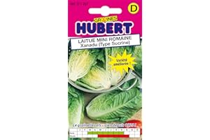 GRAINES HUBERT SEMENCES & ENGRAIS MAIROL Graines de Laitue Mini Romaine Xanadu (Type Sucrine) - 0,5 grammes