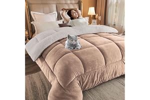 HLTQL Quilt Winter Lamb Velvet King,Thicken Winter Warm Lamb Velvet Comforter,Winter Duvet, Super Soft Warm Lamb Wool Quilt,Suitable for Autumn Winter(02,220 * 240m/4kg)