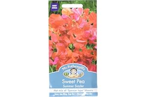MR FOTHERGILLS Mr. Fothergill's Summer Sizzler Tall Sweet Pea Flower Seeds