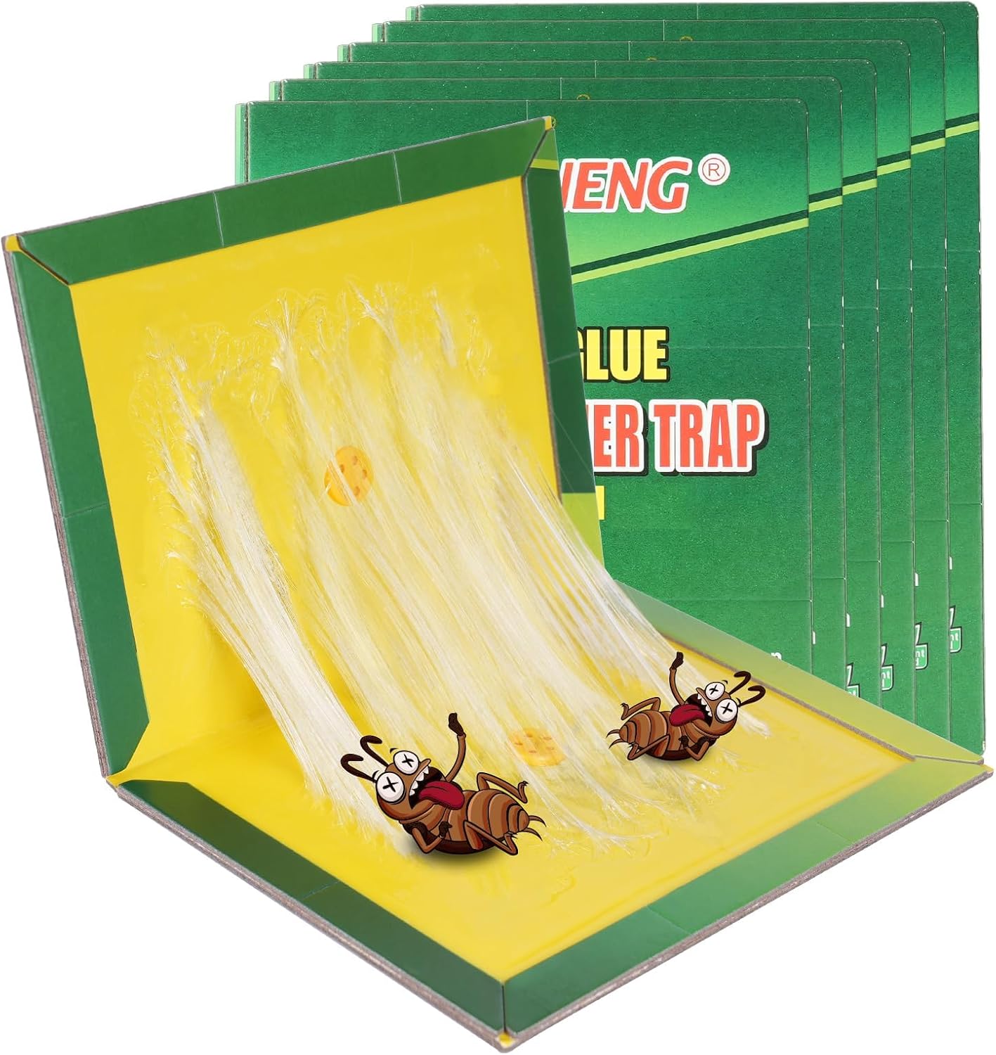 Vue 10