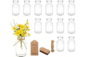 Glasvas-set 12 delar 125 ml mini jutesnöre dekoration bröllop