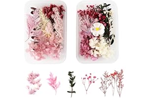 PUCIO trockenblumen deko 2 Boxen Trockenblumen Set Natürliche Getrocknete Blumen,trockenblumen zum basteln trockenblumen klein,für Kunst DIY Harz Scrapbooking Handwerk Karten Machen(Rose Rot)