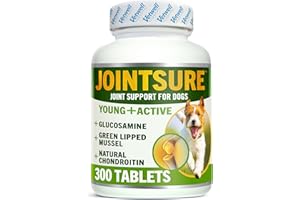 JOINTSURE YOUNG & ACTIVE Joint Supplements for Dogs and Puppies - Pack of 300 Tablets - Supports Mobility and Prevents Joint Stiffness - High Levels of Glucosamine & Green Lipped Mussel