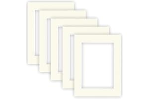 nielsen Conservation Tablero Passepartout 1,5 mm, juego de 5, tamaño exterior 30x40 cm para tamaño de imagen 20,5x29,5 cm, blanco crema con estructura