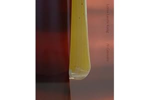 Lotus Laurie Kang: In Cascades (Chisenhale Gallery)