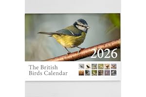HAGUE 2026 British Birds Wall Calendar Featuring Stunning Photography of Birds from Britain - Includes All UK & World Holidays & Dates Included | Perfect Christmas Calendar for the Home and Office