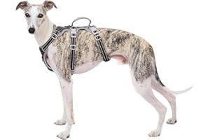 Huntboo Pettorina per cani a prova di fuga, pettorina sicura per cani senza possibilità di fuga,pettorina completamente riflettente con maniglia, traspirante, regolabile per cani di piccola taglia