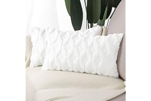 Madizz 2 pcs Doux Peluche Laine Courte Velours Décoratif Housses de Coussin Luxe Style pour canapé Chambre Blanc 30 x 50 cm