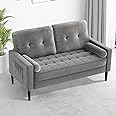 Aotumm Ciort Sofa 2 Seater, Sofa Couch with Comfy Seat Cushion, 2 Pillows, Small 2 Seater Sofa for Living Room/Apartment/Bedroom, Mid Century Modern Couch, Easy Assembly Sofas & Couches, Light Grey