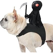 BAMY Hundekostüm Cowboy-Reiter – Lustiger Haustieranzug Für Mittelgroße & Große Hunde, Halloween & Cosplay