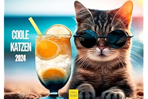 ‎EDITION SEIDEL Edition Seidel Premium Kalender Coole Katzen 2024 Format DIN A4 Wandkalender Katzenkalender Tiere mit Sprüchen Katze lustige Sprüche Motivation
