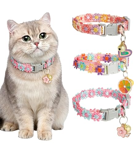 2 pièces Collier Chat Anti Étranglement, Réglable Collier pour Chat Chaton Chiot avec Clochette et Boucle de Sécurité, 19-33cm Noir | Leroy Merlin 2 pièces Collier Chat Anti Étranglement, Réglable Collier pour Chat Chaton Chiot avec Clochette et Boucle de Sécurité, 19-33cm Noir | Leroy Merlin