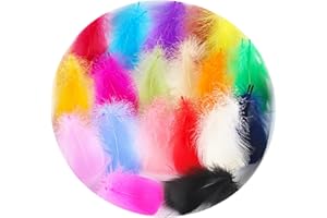 LIANRISES 600 Pezzi Piume Colorate Piume Decorative Piuma Piume Naturali Decorative Piume Per Artigianato Pelo D'oca Naturale Cattura Dei Sogni Carnevale Cappelli Compleanno Balli In Maschera DIY