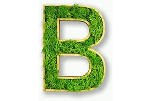 Acryltypo Moosly® Holzbuchstabe – B - mit Rahmen aus Holz, Moos Deko Buchstaben Zeichen Symbol Zahl - Holzbuchstabe mit echtem Islandmoos - Wandbilder Wohnzimmer Deko Wand Bilder Wohnzimmer Bilder