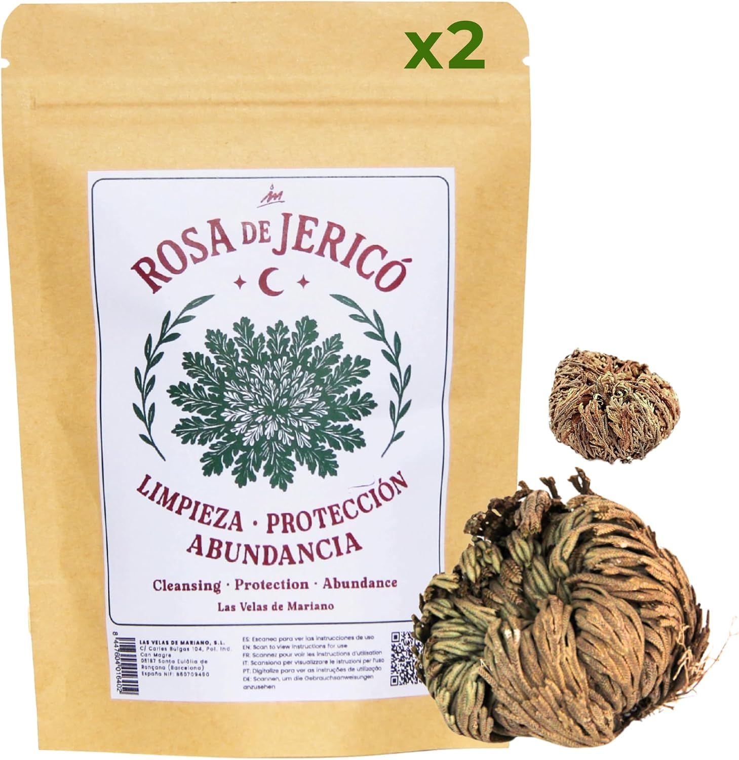 Rosa de Jericó, Planta Natural de Resurrección, para Prosperidad y Protección, con Instrucciones y Oración (2 Rosas)
