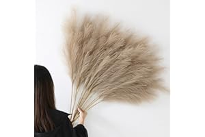 YiYa 12 Pcs Erba di Pampa Decorativa 113cm Decorazione Pampas Secca Grande Fiori Secchi Decorativi per Vaso per Soggiorno, Casa, Pavimento, Vaso, Decorazione Boemia (Marrone)