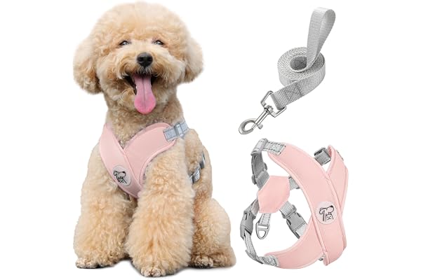 Pawaboo Harnais pour Chiens avec Laisse, Harnais Sécurisé Anti-Traction en Forme de X, Veste pour Chiens de Petite & Moyenne Taille, Ceinture de Sécurité d'animaux Réglable pour Promenade, M - Rose