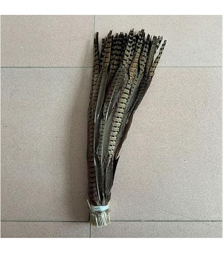 20 Plumes De Faisan Naturelles 25-30cm - Plumes Pour Artisanat, Décoration Et Créations DIY