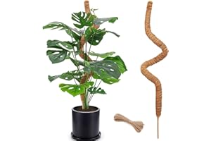 HuiPoLii 1 Stück 110cm Kokosfaser Monstera Rankhilfe,Biegbare Monstera Rankhilfe,DIY-Form,Verwenden Sie Rankhilfe Zimmerpflanzen,Rankhilfe,Moosstab