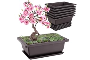 Forhandy 6 misek bonsai, wielokrotnego użytku, doniczka bonsai z tacami, 16,5 x 12 x 6 cm, do ogrodu, na taras, podwórko, do biura, salonu, balkonu