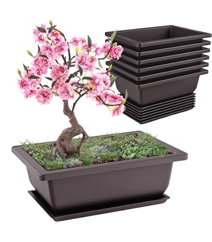 FUNSUEI Lot de 3 Pots Bonsaï en Plastique, 36 x 26,2 x 10,6 cm, Pot de