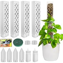 Palo di muschio di sfagno in 2 pezzi per Monstera - Supporti per piante in plastica per piante rampicanti [muschio non incluso] Bianco | Leroy Merlin