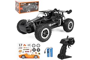 Joellfuner 2.4Ghz macchina telecomandata per Bambini, 1:16 Auto telecomandata con Luce, 2WD 20KM/H Offroad Monster RC Truck, fuoristrada auto radiocomandata, Regalo per bambini età 3+ Anni (nera)