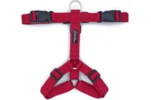 Animal Connection Pettorina ad H per Cani. 5 Punti di Regolazione. Disponibile in 4 Colori. Leggera e Resistente. (M, Ciliegia)