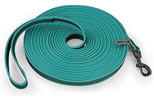 Wolfone 3m Lake Green Lightweight Training Dog/Cat Lead， Non-Slip Latex Silk Daily Dog/Cat Lead for Large Medium Small Dog/Cats， Fit for Recall，Camping， Walking