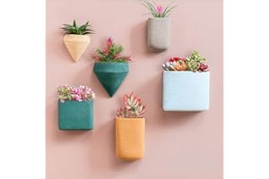 ECOSIDES Juego de 6 macetas de Resina geométrica de Colores para Colgar en la Pared, florero de Pared, para Plantas de Aire, contenedor Vertical para Helecho, Flores de Seda, Cactus, suculenta