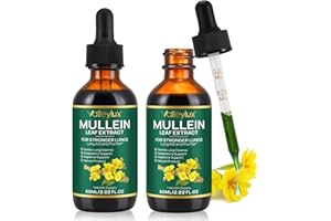 BIBONSE Mullein Tropfen Königskerze Extrakt, Mullein Leaf Extract Drops, Natürliche Königskerzenblatt Königskerze Tropfen mit Chlorophyll zur Lungenreinigung, Schnelle Absorption, Vegetarisch, 60ml, 2er Pack