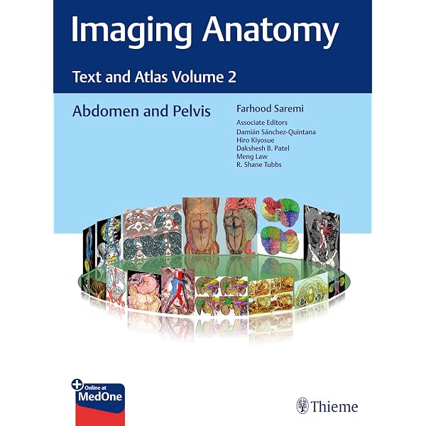 Buy Imaging Anatomy: Text and Atlas Volume 1, Lungs, Mediastinum