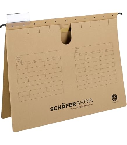 Leitz ALPHA Hängehefter Für Kaufmännische Heftung - Mit Tasche, Aus Natronkarton (A4, Naturbraun)