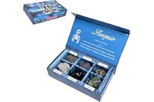 KACHVI Crystal Gifts - Pietre del Segno Zodiacale per completare Le Pietre della Nascita - Cristalli curativi Naturali con Oroscopo Confezione da 6 (Scorpio)