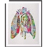 Zhuziji Diy Malen Nach Zahlen Herz Menschliche Anatomie Schmetterling Anatomie Herz Auf Vintage Worterbuch Seite Anatomie Herz Wanddekoration Herz Malerei50x70cm Kein Rahmen Amazon De Baumarkt