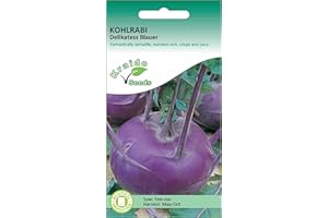 KRAIDO SEEDS Purple Kohlrabi Seeds for Planting UK - Delikatess Blauer - 500 Seeds