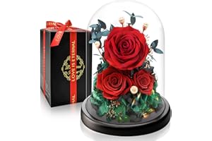 Touloube Rosa Eterna Preservada en Cúpula de Cristal I Regalo Romántico con Luz LED I San Valentín, Aniversario I Detalle para Novia, Esposa, Mamá y Abuela I Flores Que Duran Años​