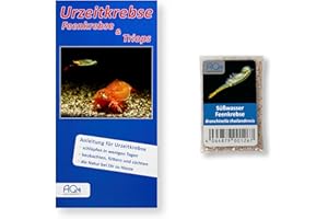 AQ4Aquaristik Thailändische Feenkrebse Branchinella thailandensis - Urzeitkrebse Zuchtansatz mit mehr als 1.000 Eiern, 1.000 Eier