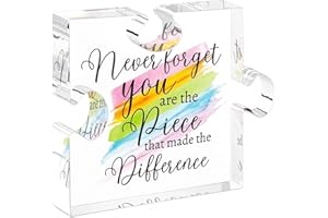 CutitiUU Puzzle Geformt Acryl Plaque Geschenke für Dank Acryl Puzzle Stück Freundschaft Geschenke Acryl Block Puzzle Geschenke Puzzle Acryl Plaque für Geburtstag Geschenke Freund Plaque (Stil B)