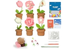 LISSUDA Crochet Kits for Beginners Adults 6 Pcs Crochet Flower Set DIY Crochet Starter Kits Beginners Crochet Kit Complete Crochet Yarn Set with Instruction and Video Tutorials for DIY Craft Gift
