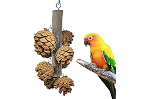 WACURRENTHYD Bird Toys with 8 Pine Cones - Natural Wooden Parrot Toys, 8 Inch Hangable Chewing Sticks Toys for Conures Parakeets Cockatoo African Grey Amazon Parrots